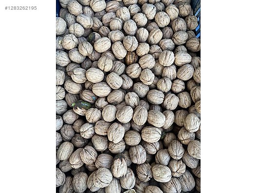 Used & Brand New Items / Foods & Feed / Dried Nuts