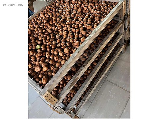 Used & Brand New Items / Foods & Feed / Dried Nuts