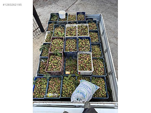 Used & Brand New Items / Foods & Feed / Dried Nuts