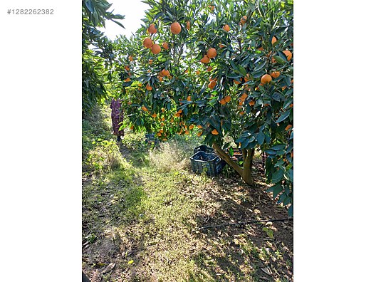 Used & Brand New Items / Garden & Home Improvement / Wholesale Lots