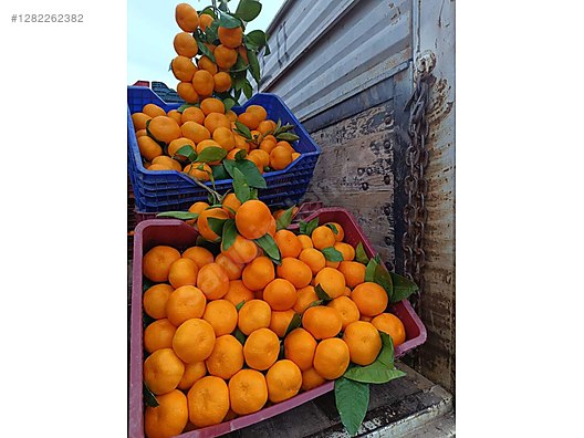 Used & Brand New Items / Garden & Home Improvement / Wholesale Lots