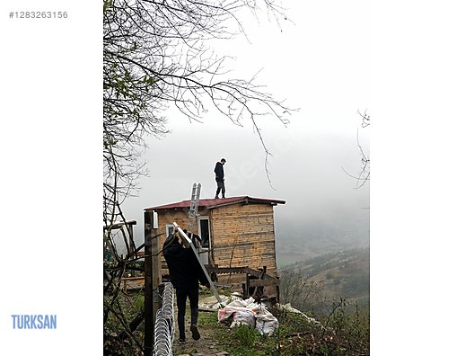 İş Makineleri & Sanayi / Elektrik & Enerji / Güneş Paneli