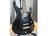 Washburn Elektro Gitar