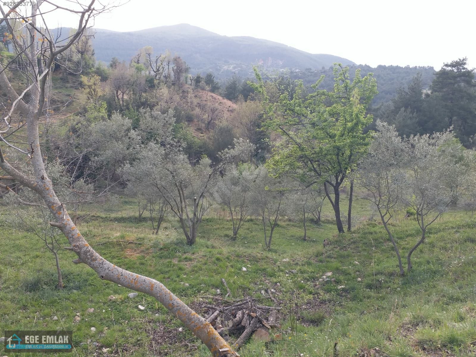 Muğla dokuzçam köyü satılık ev.. Satılık Müstakil Ev İlanları