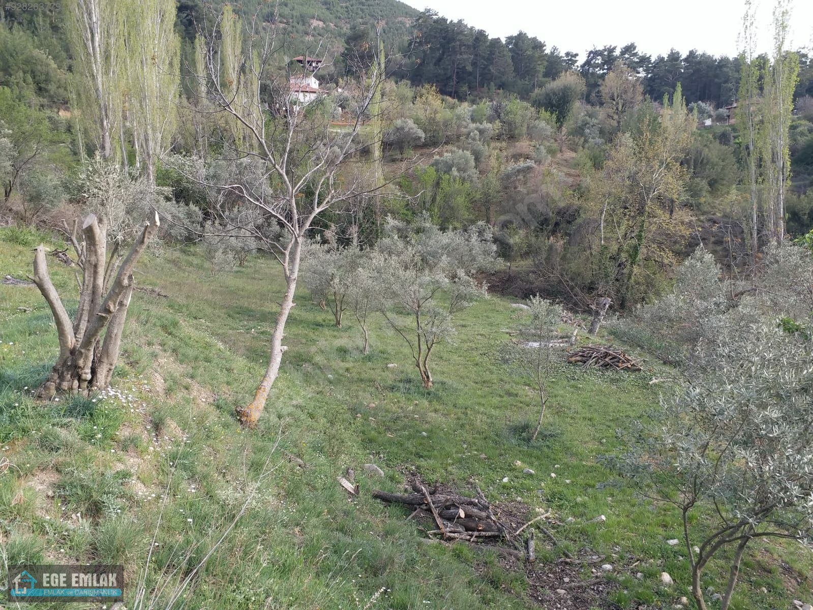 Muğla dokuzçam köyü satılık ev.. Satılık Müstakil Ev İlanları