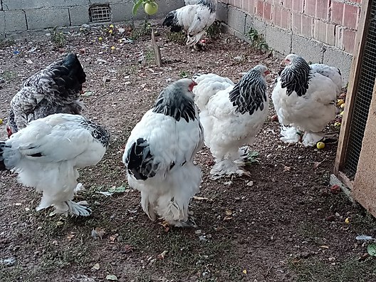 4d5p6lyytt J8m 4d5p6lyytt J8m