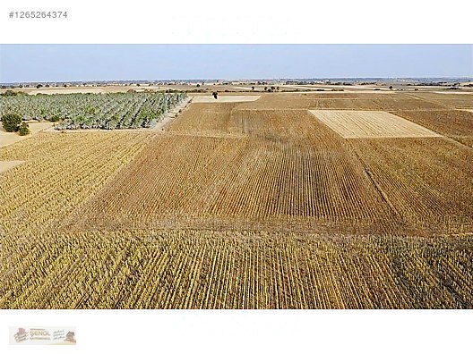 LÜLEBURGAZ HAMZABEY KÖYÜNDE 10.300 M2 SATILIK ARAZİ #1265264374