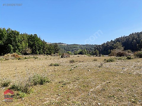 -Antalya Manavgat Uzunlar Satılık Tarla