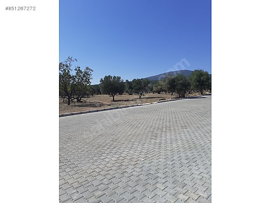 Izmir Kemalpasa Sutculerde Satilik Bahce Satilik Arsa Ilanlari Sahibinden Com Da 851267272