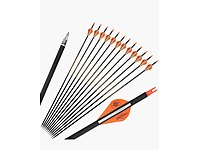 AMERİKA 'DAN ÖZEL CARBON ARROWS,SPİNE:350,