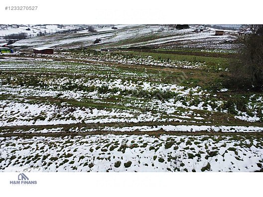 KOCAELİ KANDIRA BALCI MAH. 231 M2 SATILIK ARSA #1233270527