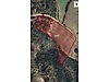 BİLECİK MERKEZ ŞÜKRANİYE'DE TARLA
