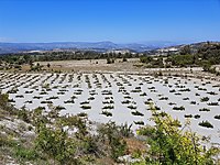 gulnar merkez satilik arsa ilanlari ve fiyatlari sahibinden com da