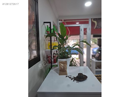 Used & Brand New Items / Foods & Feed / Beverages / Coffee