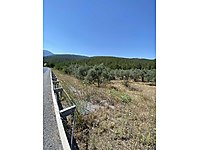 Kemalpasa Satilik Arsa Ilanlari Ve Fiyatlari Sahibinden Com Da