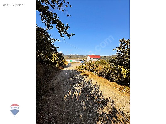 AKÇAKOCA UĞURLU 'DA TAVUK ÇİFTLİĞİ VE 8,5 DÖNÜM FINDIK BAHÇESİ