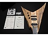 ESP Elektro Gitar