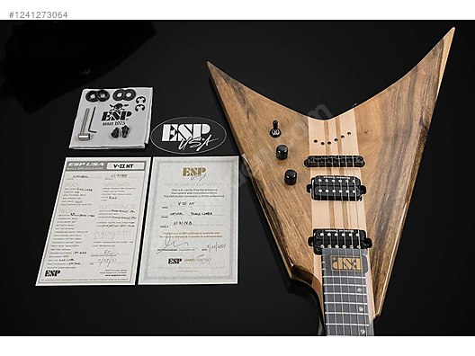 ESP Elektro Gitar