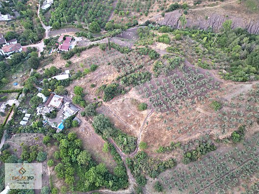 BURSA GEMLİK KURTUL DA KÖYÜN İÇİNDE SATILIK TARLA #1258273071