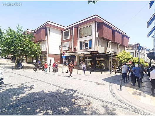escort için elm cihazı