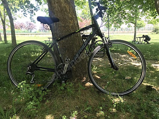 crossway 20v