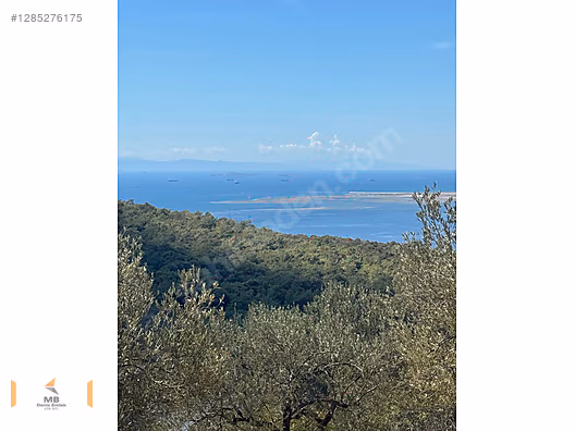 İZMİR DİKİLİ DEMİRTAŞ KÖYUNDE DOĞAYLA İÇ İÇE PARSELLER #1285276175