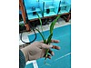 Pets & Livestock / Accessories / Fish / Aquarium Plants