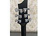 Schecter Elektro Gitar