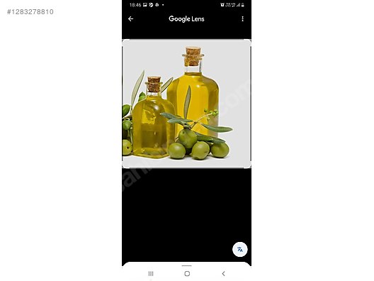 İkinci El ve Sıfır Alışveriş / Yiyecek & İçecek / Şarküteri / Zeytinyağı