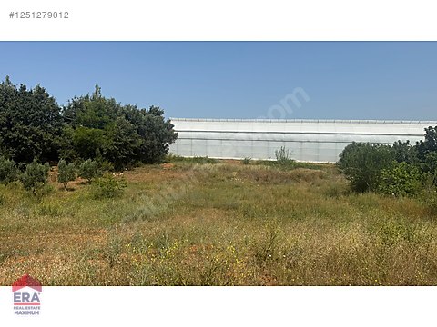 MANAVGAT ULUKAPI'DA İMAR SINIRINDA 1471 M2 SATILIK TARLA
