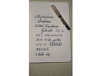 100 Yıllık Altın Flex Uçlu Dolmakalem