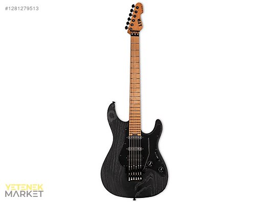 ESP Elektro Gitar