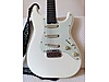 Schecter Elektro Gitar