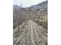 amasya merkez satilik arsa ilanlari ve fiyatlari sahibinden com da 3