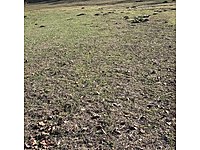 mijfmtwj6wlgsm mijfmtwj6wlgsm