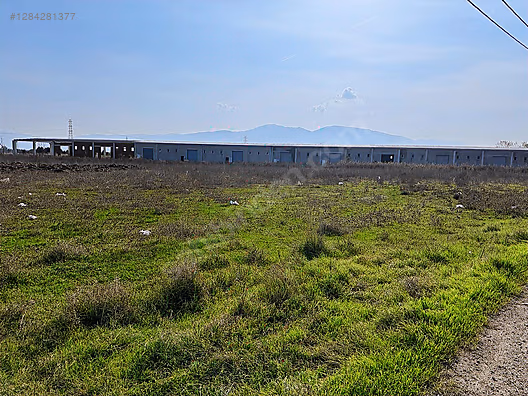 Bursa emlak alem-i 4.593 m2 kadastro yoluna cepheli Acil satılık #1284281377