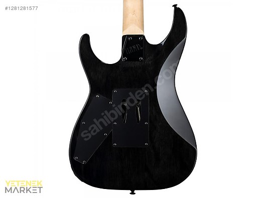 ESP Elektro Gitar
