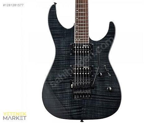 ESP Elektro Gitar