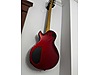 Schecter Elektro Gitar