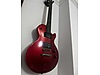 Schecter Elektro Gitar