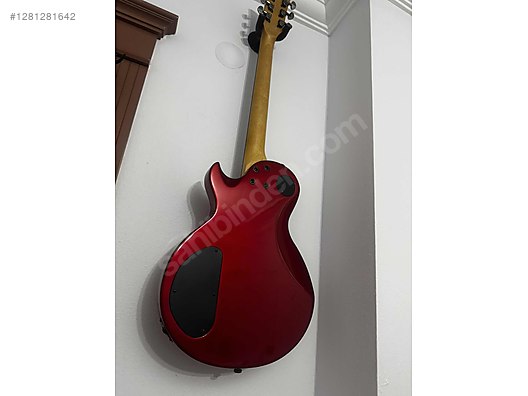 Schecter Elektro Gitar