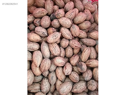 Used & Brand New Items / Foods & Feed / Dried Nuts