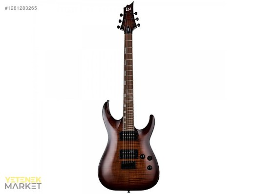 ESP Elektro Gitar