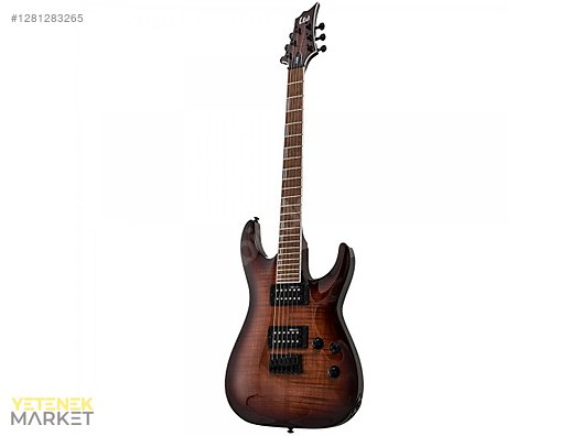 ESP Elektro Gitar