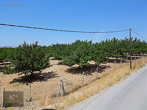 YEŞİLYURT BİNDALDA SATILIK BAHÇE