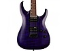 ESP Elektro Gitar