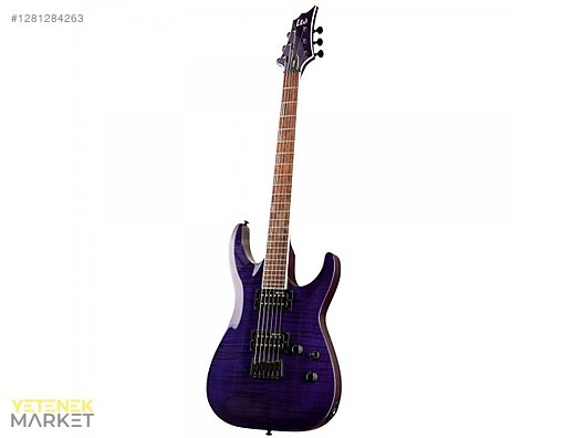 ESP Elektro Gitar