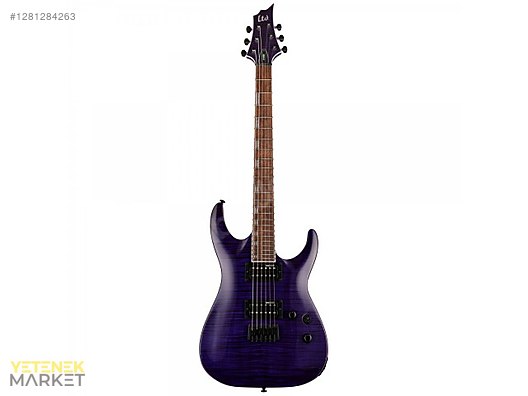 ESP Elektro Gitar