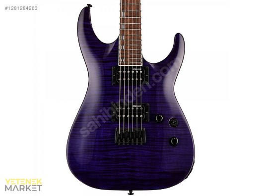 ESP Elektro Gitar