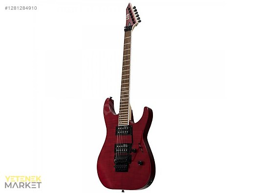 ESP Elektro Gitar